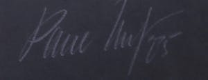 Paul Huf - C-Print, Zonder titel - Ingelijst kopen? Bied vanaf 1!