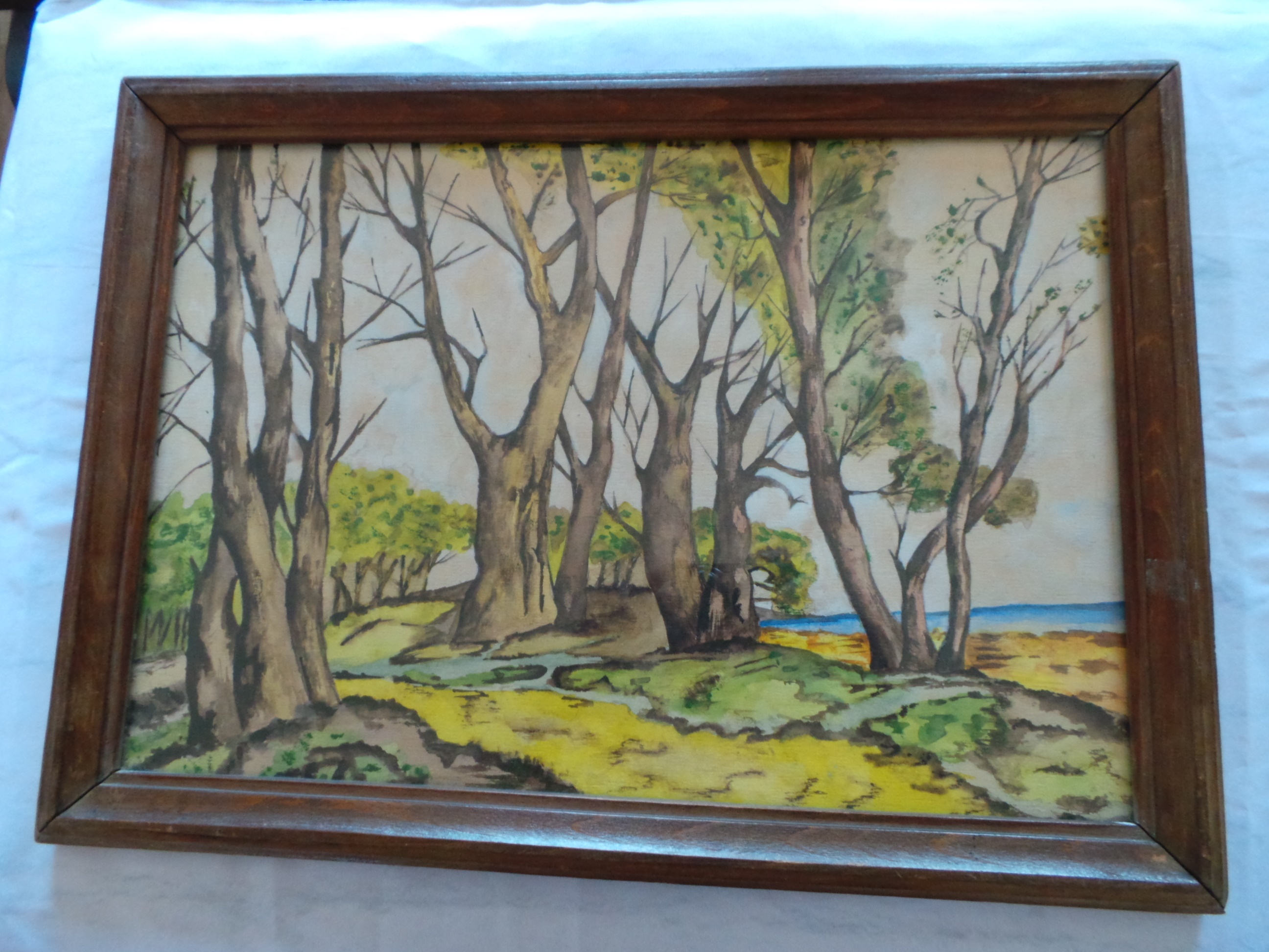 Niet of onleesbaar gesigneerd - Bosgezicht 20 eeuw kopen? Bied vanaf 1!