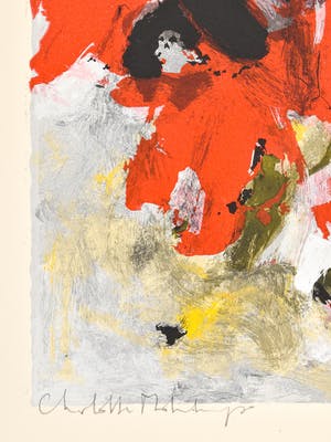 Charlotte Molenkamp - Vogel kopen? Bied vanaf 50!