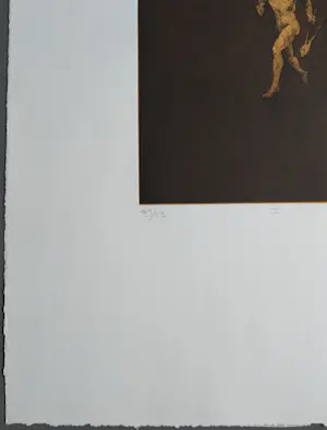 Ronald Tolman - gesigneerde ets kopen? Bied vanaf 69!