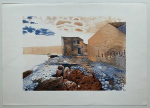 Nicolaas Wijnberg - kleurenlitho - 'Libertad!' - 1983 - Oplage slechts 24 stuks! kopen? Bied vanaf 75!