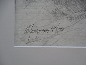 Ab Jongmans - Vier palmen kopen? Bied vanaf 50!