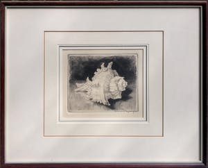 Gerrit de Jong - ets van Murex Ramosus - in lijst kopen? Bied vanaf 35!