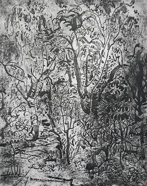 Jan Jordens - Bos, linoleum ets kopen? Bied vanaf 95!