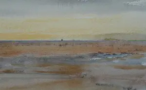 Franklin Meijer - Waddenzee - Bruine Vloot - droogliggen op de Richel kopen? Bied vanaf 49!