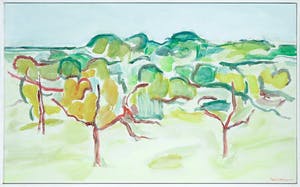 Paul Overhaus - Olieverf op doek, Bomen Portugal III - Ingelijst kopen? Bied vanaf 70!