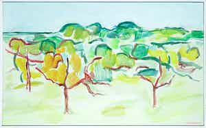 Paul Overhaus - Olieverf op doek, Bomen Portugal III - Ingelijst verkocht voor € 70!