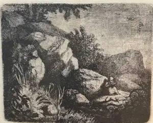 Theodoor Schaepkens - Rotsen, rotsen, rotsen (zeven etsen) kopen? Bied vanaf 50!