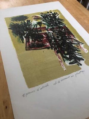 Corneille - Vol d'oiseux au printemps - 1960 kopen? Bied vanaf 350!