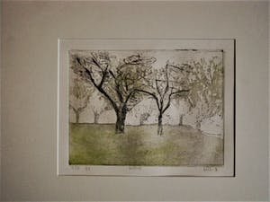 Niet of onleesbaar gesigneerd - In zeer kleine oplage vervaardigde Droge Naald Ets "Vlier" gesigneerd kopen? Bied vanaf 10!