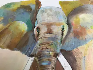 Niet of onleesbaar gesigneerd - Olifant. kopen? Bied vanaf 1!