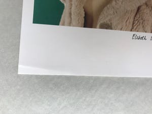 Elsbeth Struijk van Bergen - Kleurenfoto uit de serie ‘Samples’ kopen? Bied vanaf 30!