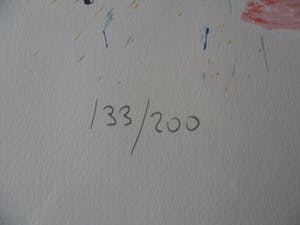 Nic Jonk - Zeefdruk, Roses - Ingelijst (Groot) kopen? Bied vanaf 100!