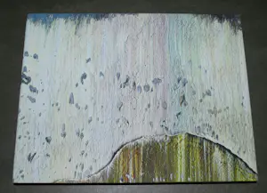 Gerhard Richter - pictures/series 2014 Fondation Beyeler (linnen hardcover) kopen? Bied vanaf 90!