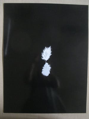 Henk Peeters - Zeefdruk Het Veertje kopen? Bied vanaf 250!