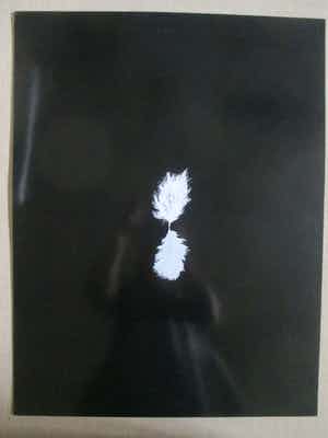 Henk Peeters - Zeefdruk Het Veertje verkocht voor € 250!