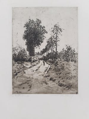 Martin van Waning - "Berkenlaantje" kopen? Bied vanaf 39!