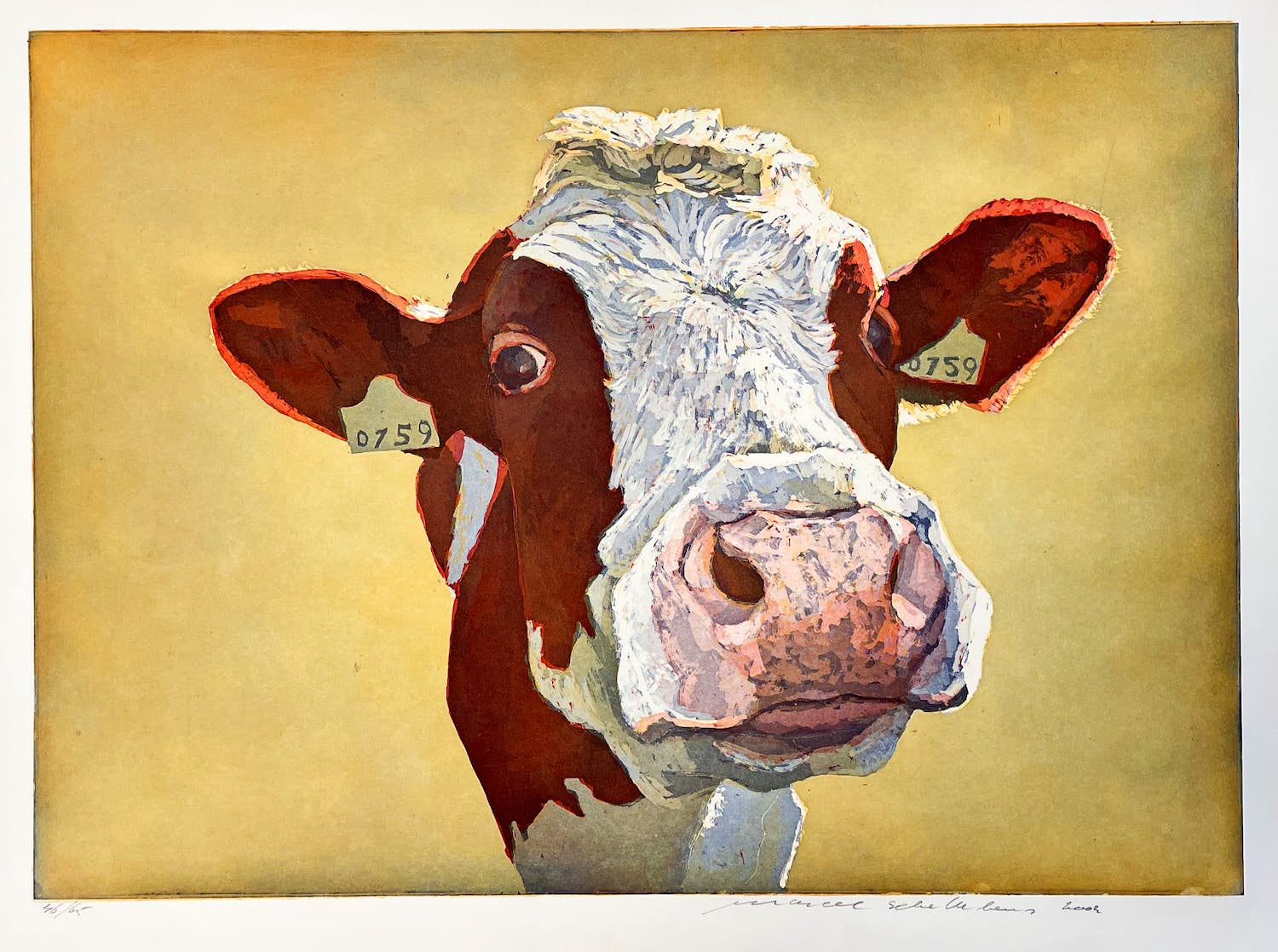 Marcel Schellekens - Ets / aquatint, Koe verkocht voor € 85!