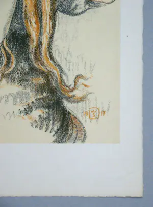 Walter Sauer - Jong meisje met vlechten - 1930 - Heliogravure - Gesigneerd en gedateerd kopen? Bied vanaf 100!