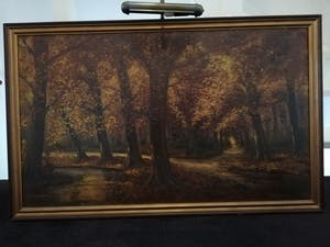 Hans - Albert Walter - Bosgezicht kopen? Bied vanaf 300!