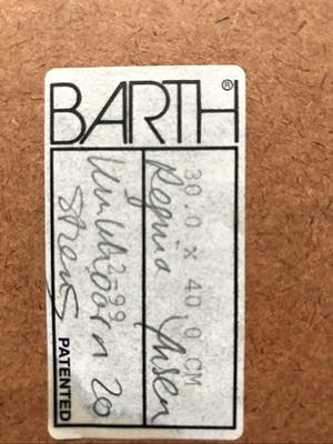 Regina Ynsen - Handgesigneerd, met passepartout in Barth-lijst (zeer kleine oplage!) kopen? Bied vanaf 55!