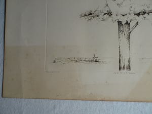 Hans Andringa - Ets , Op het nest van de klepperaar – oplage 37/40 - 1977 kopen? Bied vanaf 1!