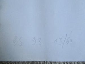 Eran Schaerf - Offset print Sonsbeek 1993 kopen? Bied vanaf 35!