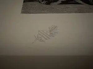 Willem Steelink (sr.) - Gravure kopen? Bied vanaf 1!