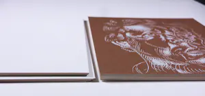 Philip Akkerman - Uitgave van zeefdrukken, De onzichtbare man / The Invisible Man kopen? Bied vanaf 500!