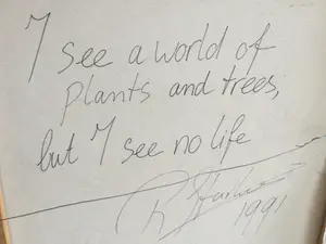 Ruud Starke - I see a lot of flowers and trees but I see no life kopen? Bied vanaf 400!