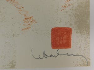 Dang Lebadang - Les Zèbres kopen? Bied vanaf 10!