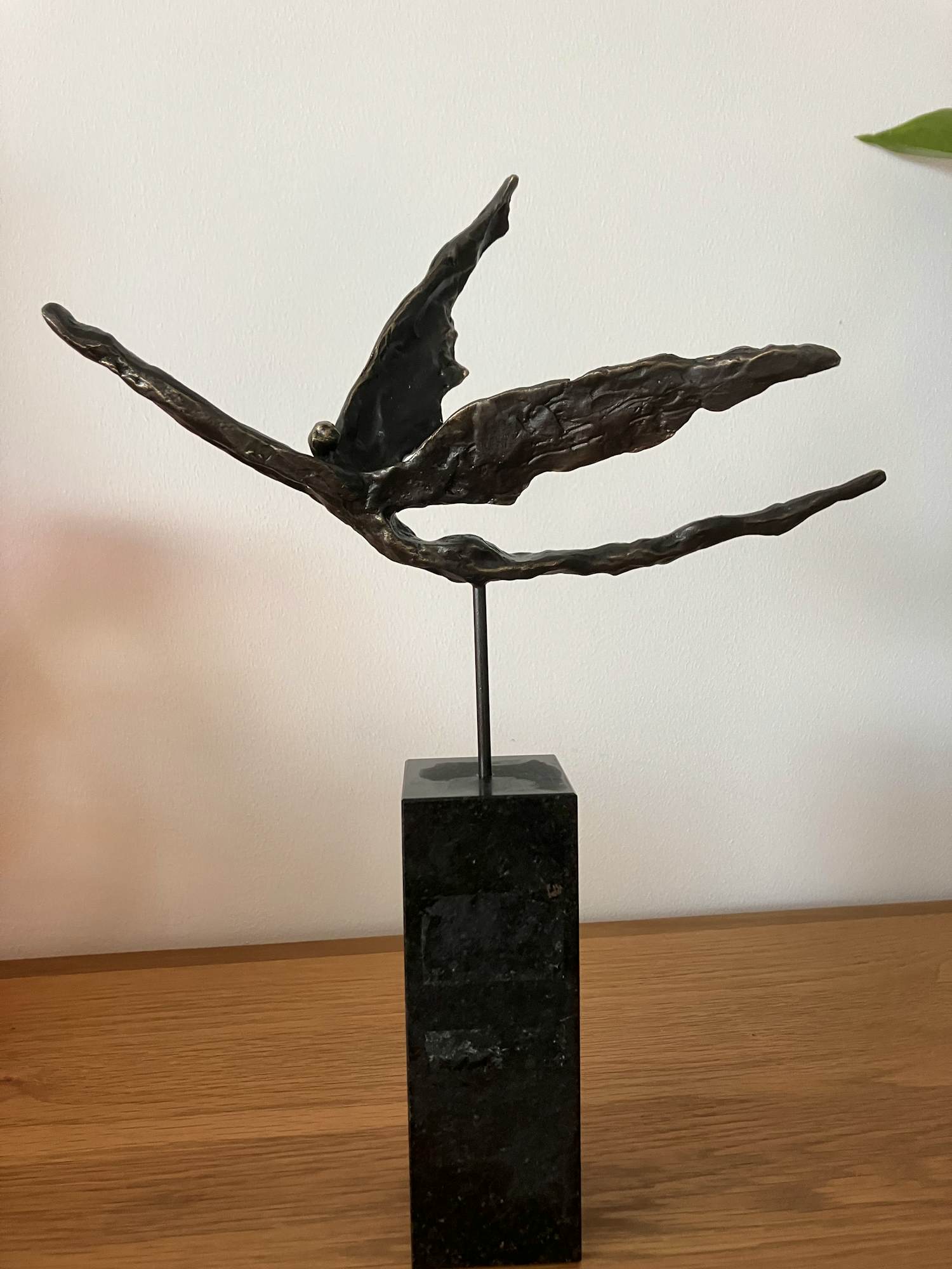 Corry Ammerlaan - Icarus zeldzaam kopen? Bied vanaf 129!