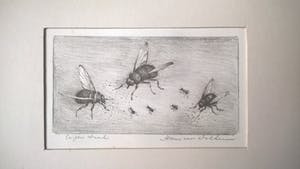 Hans van Dokkum - gesigneerde ets kopen? Bied vanaf 35!