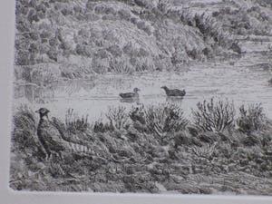 Gerard Lutz - Duinlandschap met vogels en fazant - Ets kopen? Bied vanaf 1!