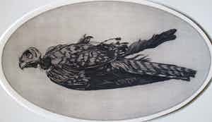 Dick Stolwijk - Ets Torenvalk verkocht voor € 50!