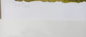 Corneille - Fraaie zeefdruk'Two Blue Birds', mooi gelijst kopen? Bied vanaf 225!