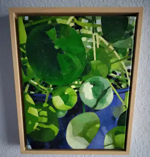 Willem Visser - Pannenkoekplant in blauwe pot kopen? Bied vanaf 120!