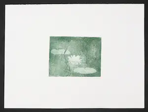 Ineke Smeets - Ets en aquatint, Waterlelie kopen? Bied vanaf 1!