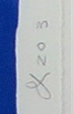 Cees Dolk - Zeefdruk, Tulpen & Zo - Ingelijst kopen? Bied vanaf 50!