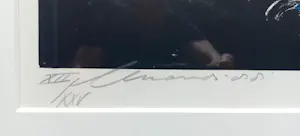 Eugène Brands - Fruitschaal, litho (netjes ingelijst, groot) kopen? Bied vanaf 175!