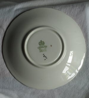 Curiosa - Bloementheekopje + schoteltje - Aynsley China Ltd. , ontwerp J.A. Bailey kopen? Bied vanaf 1!