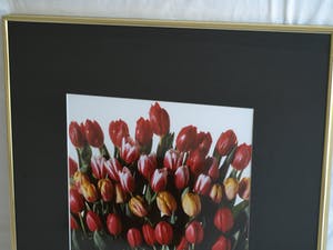 Paul Huf - Foto , Flowers : Gemengde Tulpen – gesigneerd & ingelijst - 1984 kopen? Bied vanaf 1!