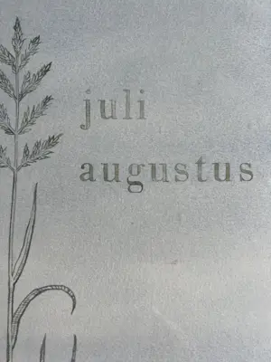 Ria Tensen-Kooy - Juli augustus kopen? Bied vanaf 40!