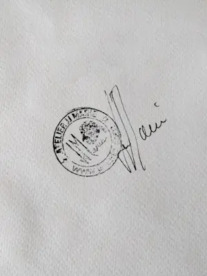 Jean-Jacques Marie - Lot de 3 créations à l'encre de Chine et acrylique kopen? Bied vanaf 160!