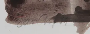Sian Ang - Aquarel, Zonder titel kopen? Bied vanaf 1!