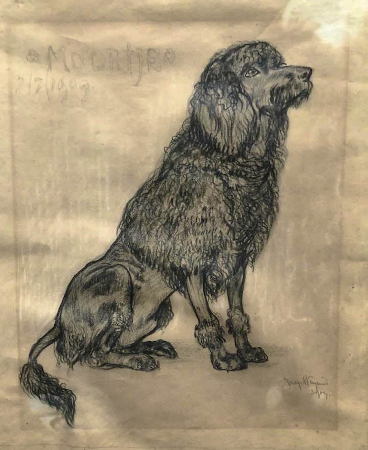 AcheterJaap Weijand - Tekening "Moortje 7-7 1909" (Bergense School)? Enchérissez de 100!