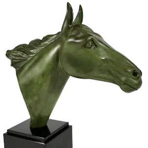 Irénée Rochard - Paard kopen? Bied vanaf 850!