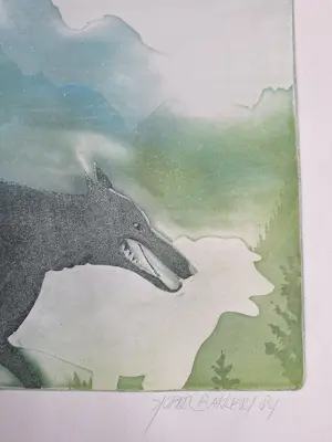 Sjoerd Bakker - Onbekend kopen? Bied vanaf 50!