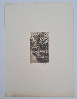 Willem de Zwart - 6 etsen, 5x handgesigneerd kopen? Bied vanaf 150!