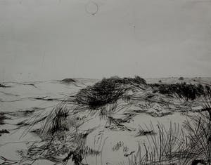 Aat Veldhoen - Ets: Duinlandschap bij Bergen aan Zee - 1956 kopen? Bied vanaf 75!